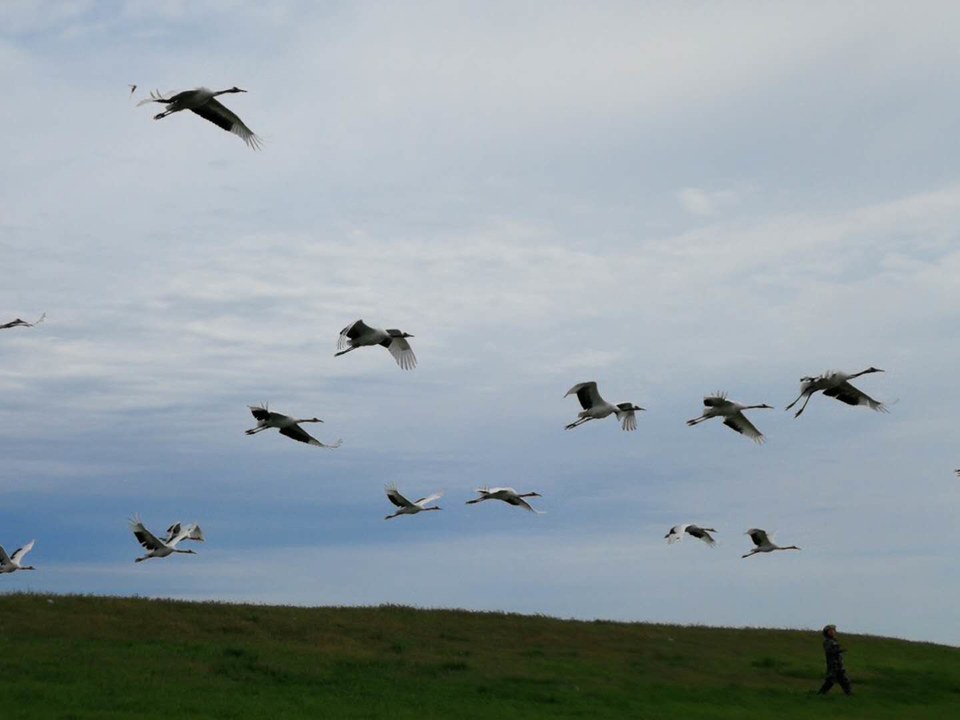 NhKaApW3BOkInMPvPJhAnqmheDn32bDFsEHX2IdCdH8415pNuUxsEzzCjFgMG8LT