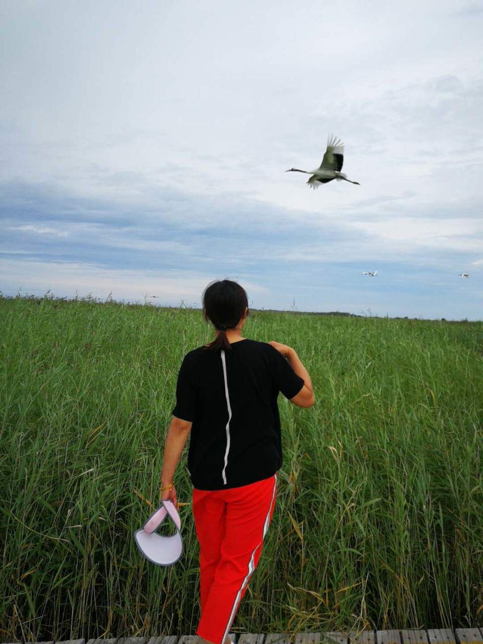 nz_wplL9jRw1FtfbylaIuYBXmV1hHKnrfQY2wQRc_dI76Jo_NzFvZuFzqYGBxrT_