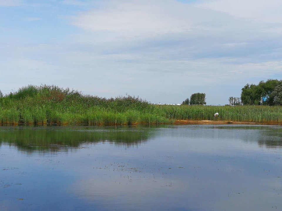 gKsyMuLaYGK_ay_ZYlCHX0LVCWTSSPqPsH60ytmSkVAbeulfTDKG5WTpM9RyauGV