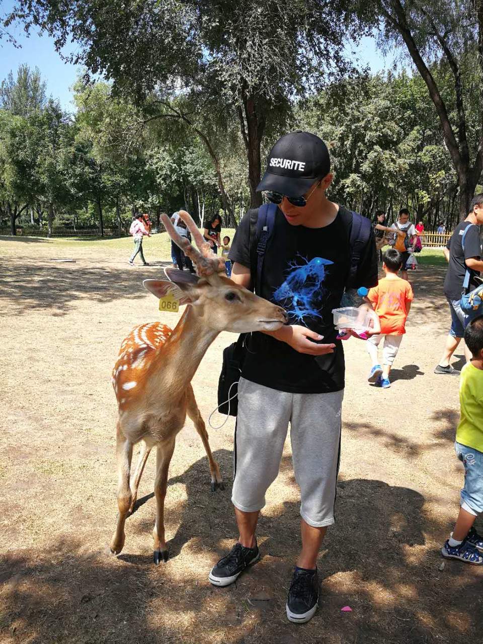 rCC__vunXV_Y9AzI2pFoP4CAZRp5SHwz88fuP9aDU_xrX1-_57behEtfR9avNrmv