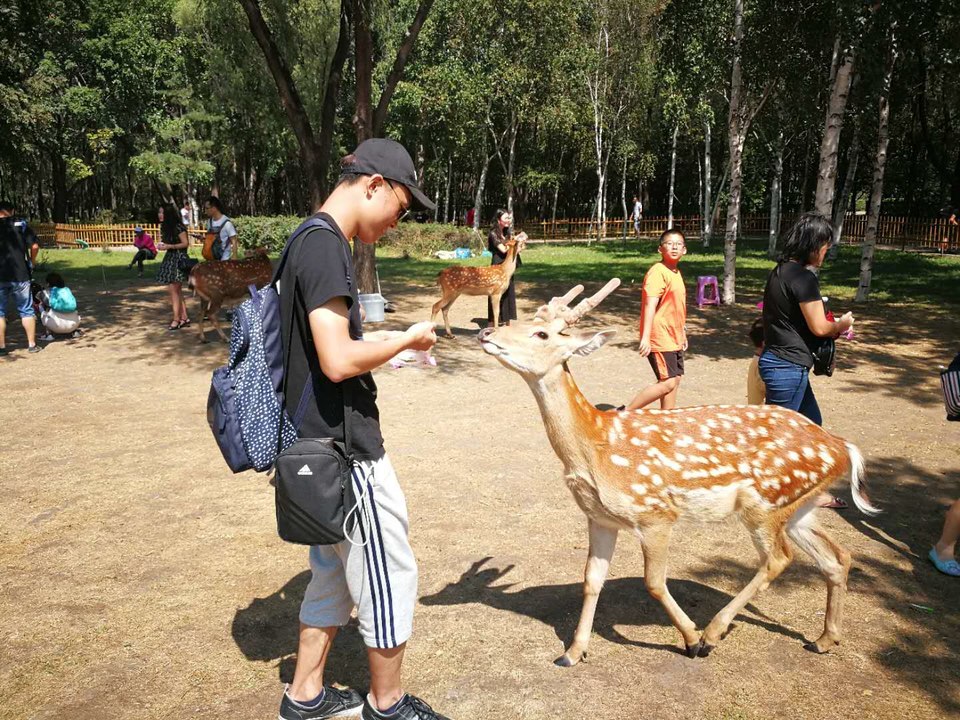 JuE6B1xX1T8AaN3NIDPsiM0zhpls_sIK_em_rb8DrQCKgmekwlYUlEXvHeL6_lkT