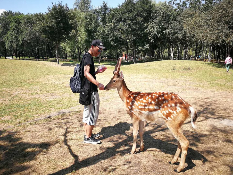 yTANAFSE7QSmx7DhFXj9qhI74M1B2xxDUnKXPpN-iZzs5HjNDIbBONHDU8w_kRs5