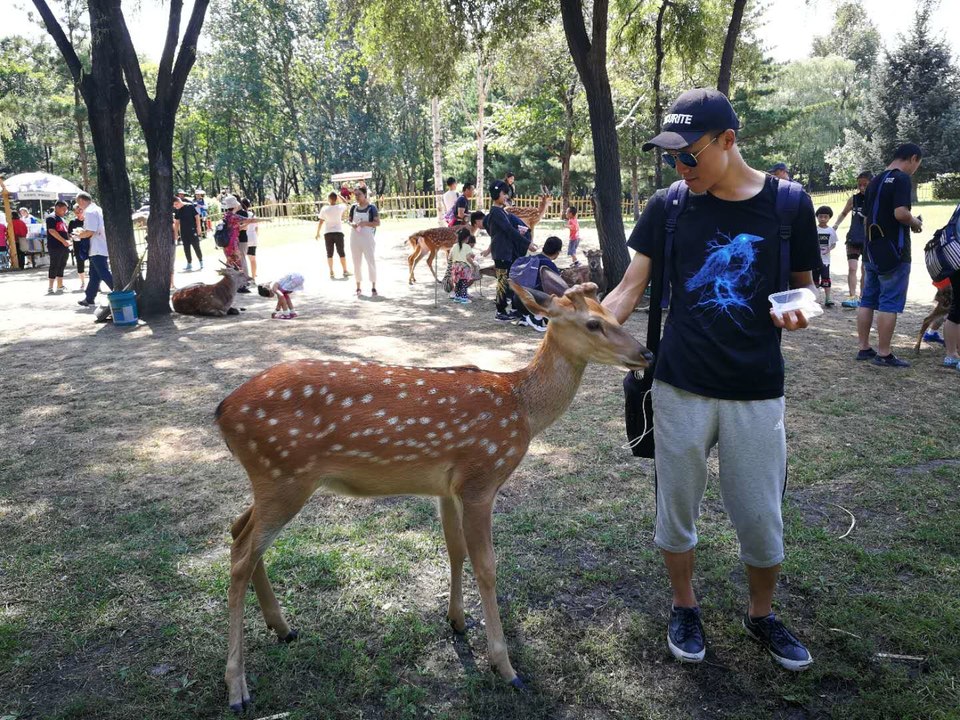 oJhFPxADdiVJYKHuVmfMi4srOQKvIzkx8owgusnUyGP-MSsVvRAcgQ3RQRgzbN7i