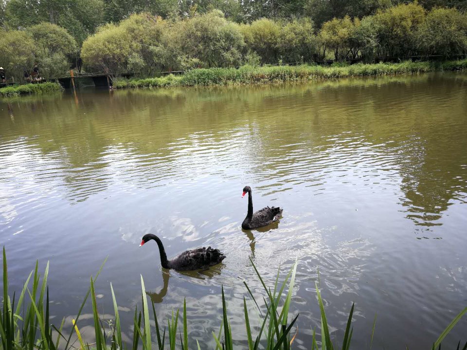 jg_sl6Zjeqc3oh6AlxACKUet0p_pLZnln3FxlVgHNtYB1HqyiRPZm6z-oUjBk6RS