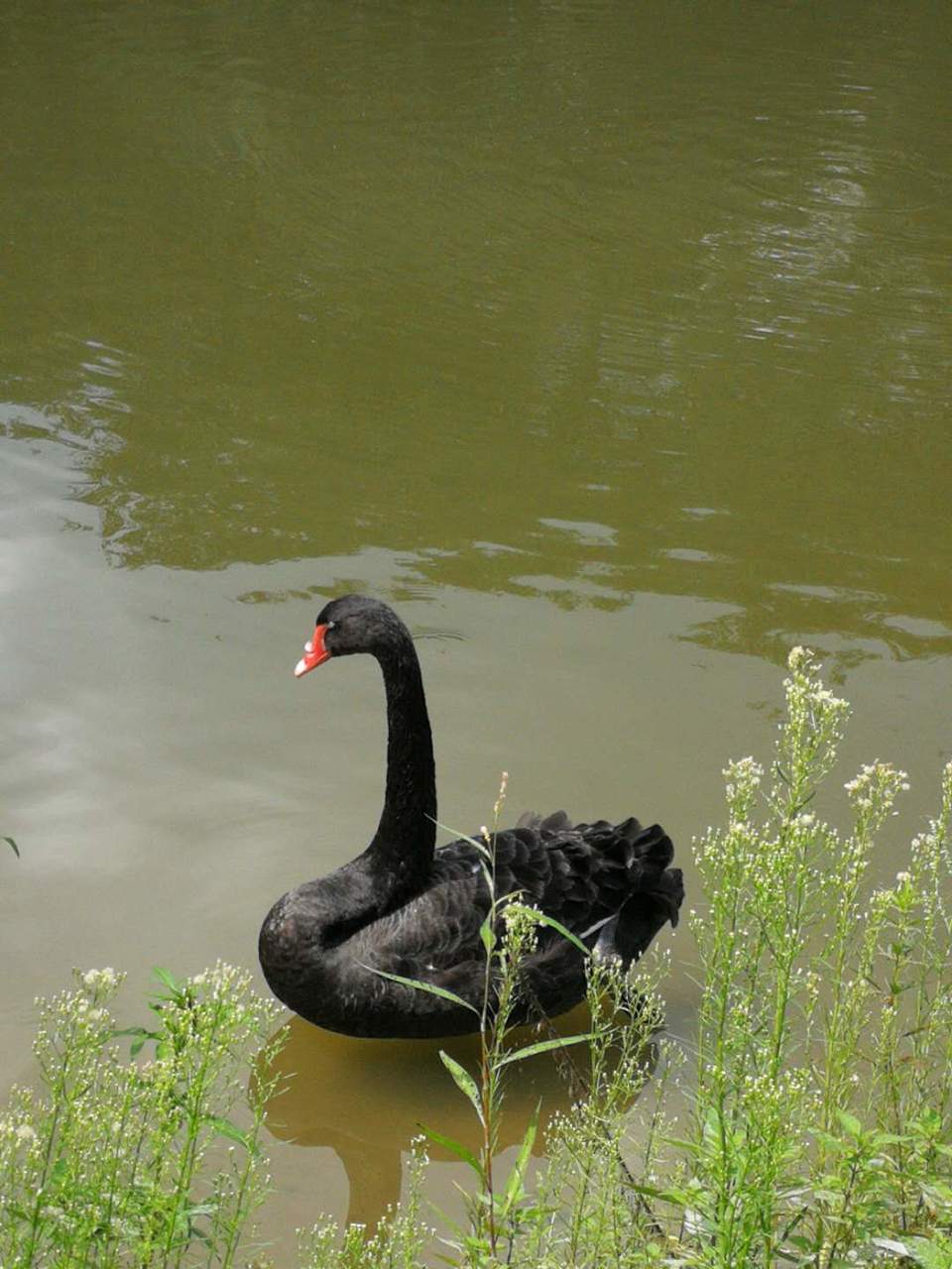 9j4o5elsuLw3jlMx4-KhrZyxcKbEU-9Hwz1G88LqEK7bI2lqZhKa7LwOwmrRRDtR