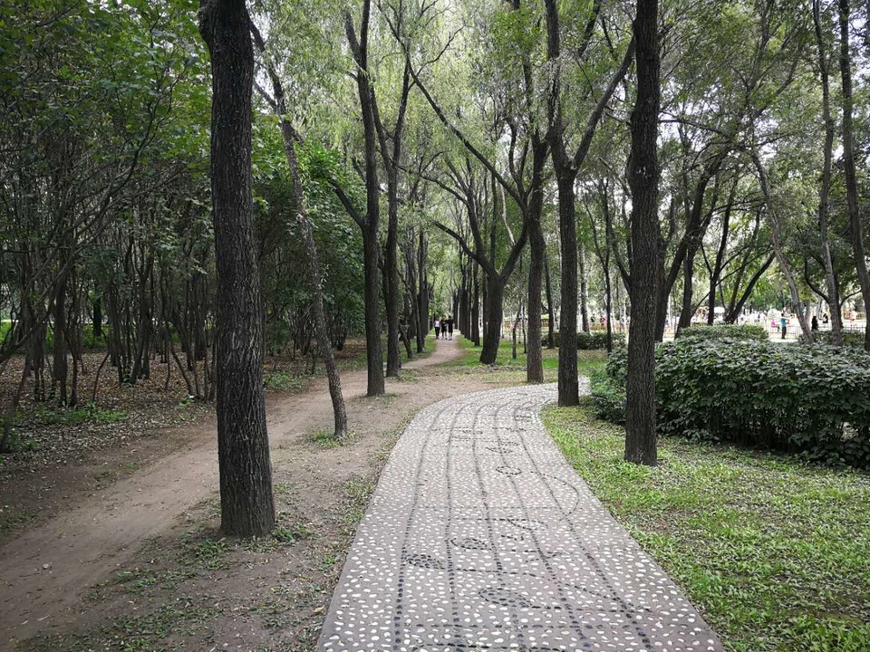 Fc8T19H5ywYokJ3LJhtC5CUvHnOAs0_CV9G-enbnBrBXy3zQDghOeMr25Xmr0B9B