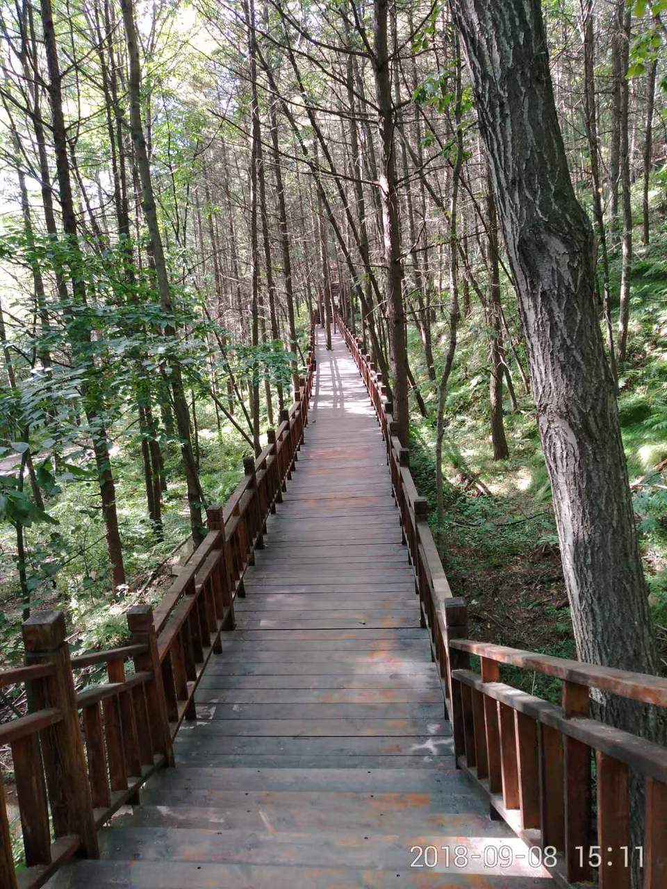 1N1d97LS1kfO1aAmqzEeC9e8qQbaXga6Ql2v4OL-JTZLGKBK8jMUQsJEZZFC_cOU