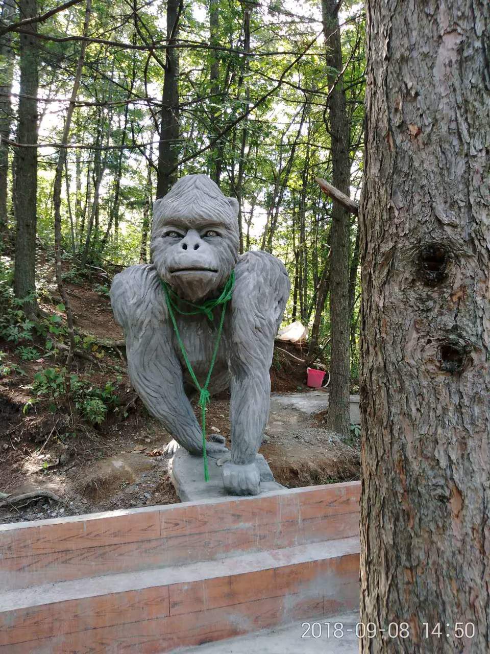 PxxEdrINgxeB0wXRdw45nsdNbrMzXWTKfOeNV2ofLSJ51WTJIxTkJ3BAaMXrxU76