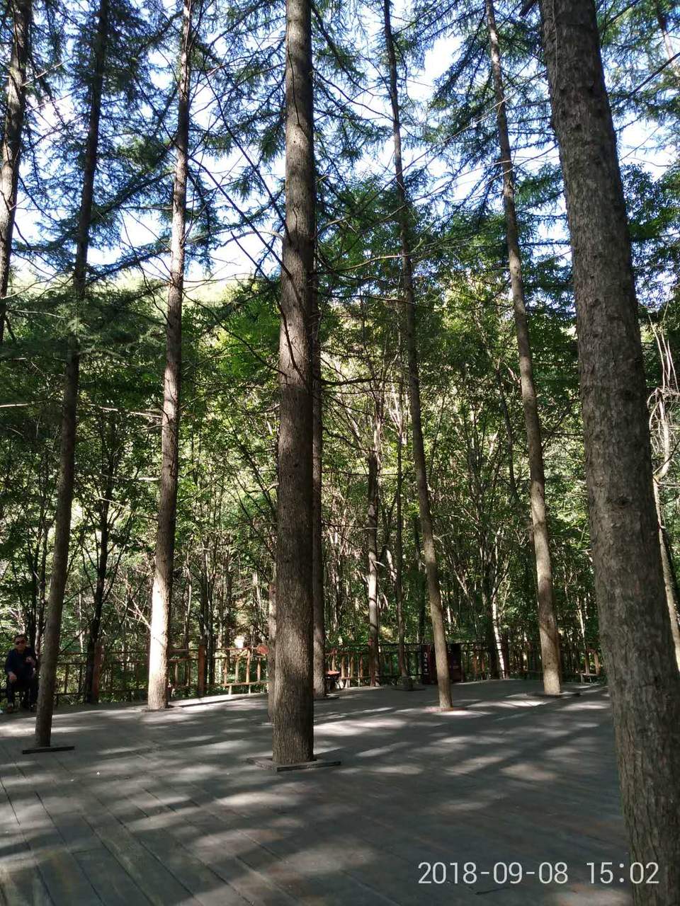 7zxY0SyaRe3YB6z3mRES-F3r9ziXj1Gc8sNlwXCpCWk1BwOS5FrCbFnlqPRGwIMl