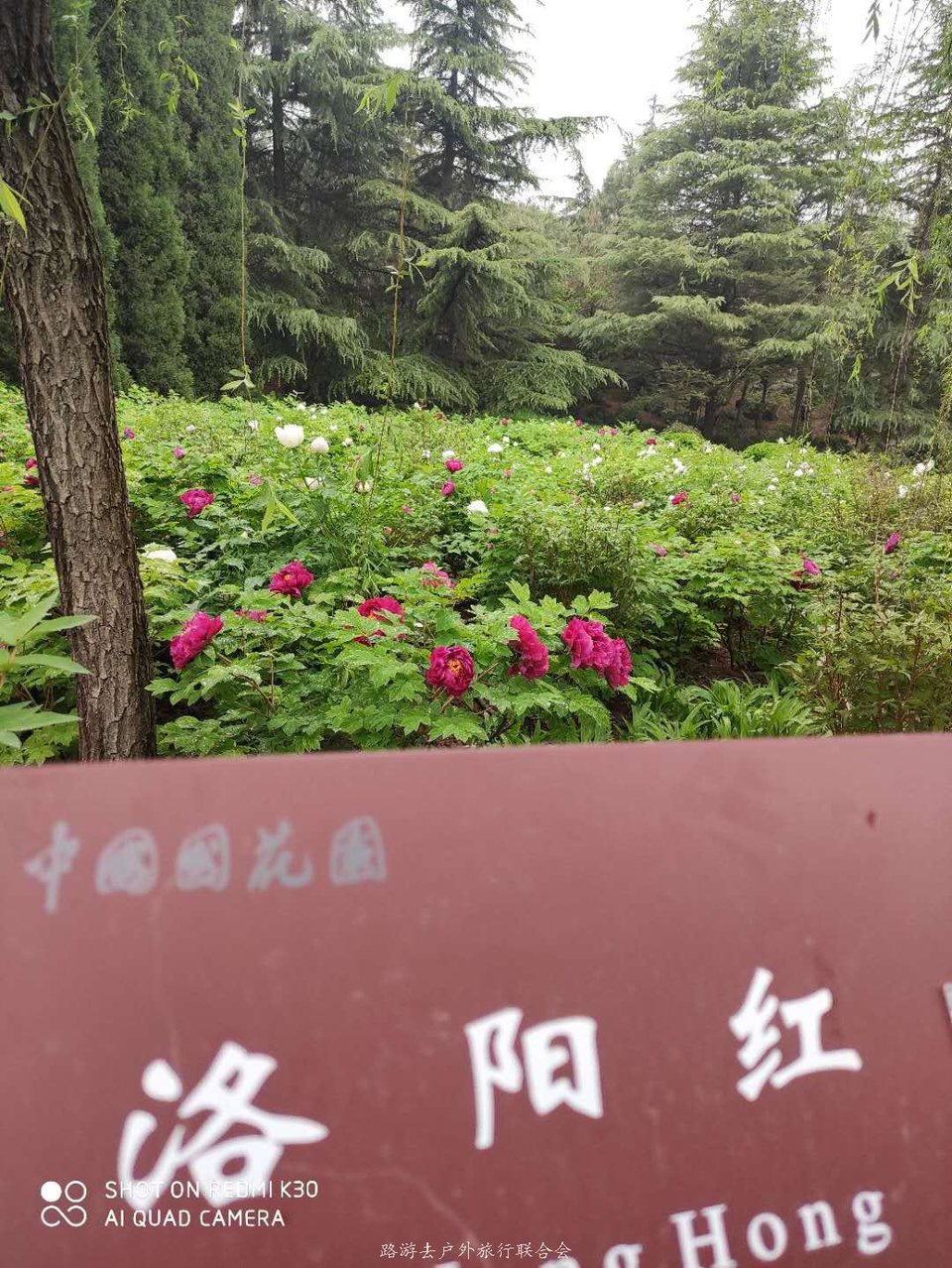 _KACarwnFjyN6eWyyUr_1wn-TXHHzRS1AzluuXK18uC5YLV3RhX0PluCOg6VH3SV