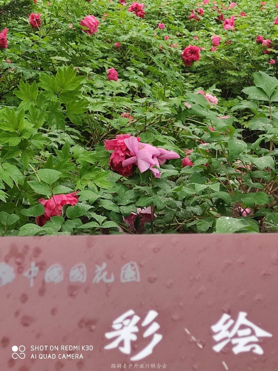 2_BRHWsoEDvnmD1iicBjRDUDAvrzj1FwMfb6w8j818zKJBN6PrpsuuKM2qqQsuUk