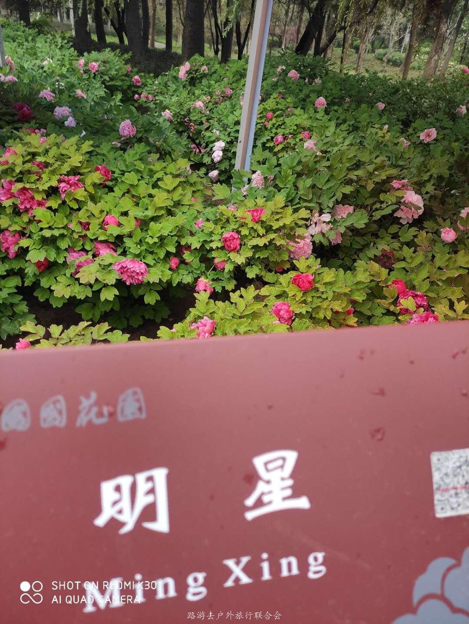 KIDK_AUXe3KRFYk4Qt-ChpSwM0PkmSH2APixyZ0n9bIVo33zT1bjXwQz613JXgmo