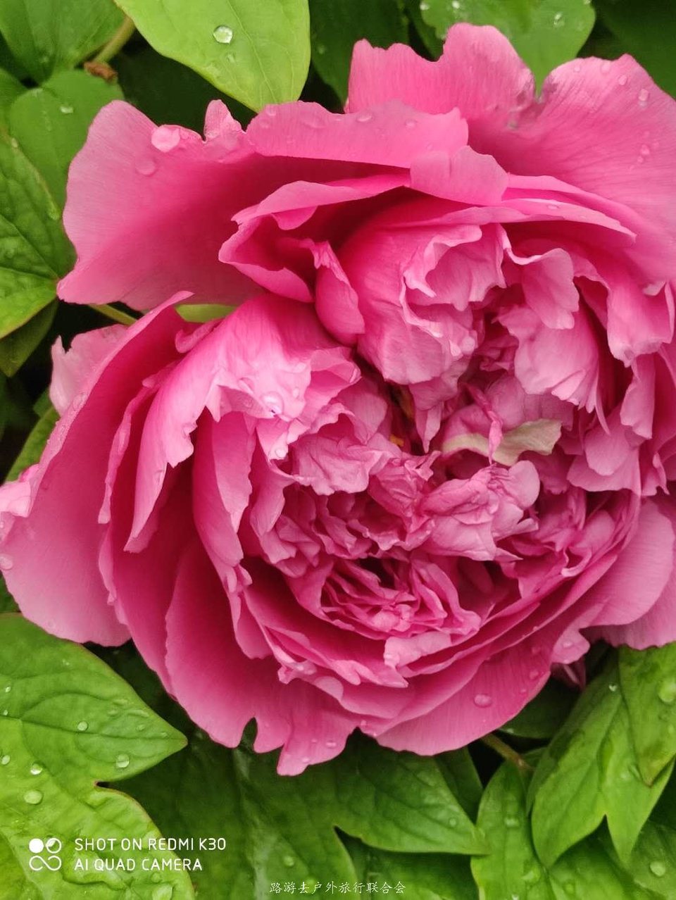 8gPca3IcI_954awG_U5_JEE0jIJH5hyTiryHF5OG3tmE_sfAsYxYMtlWmzcTt-Bk