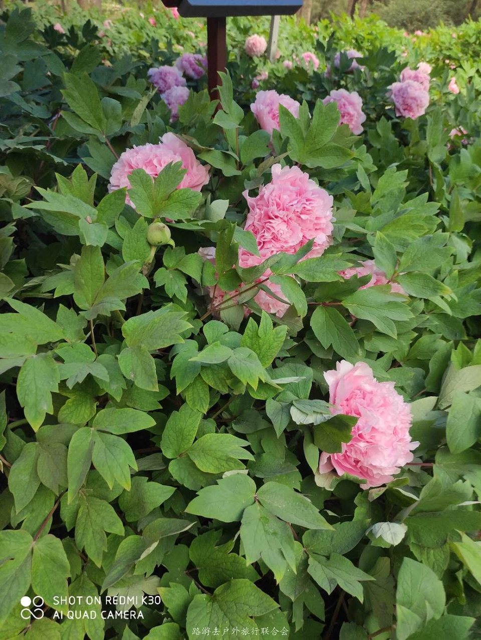 PCMX_jX5u050YIUO7ckRHlxM77neMUOL-81yPAKAxF9flm92z4hsdWqGWdZIDf7I