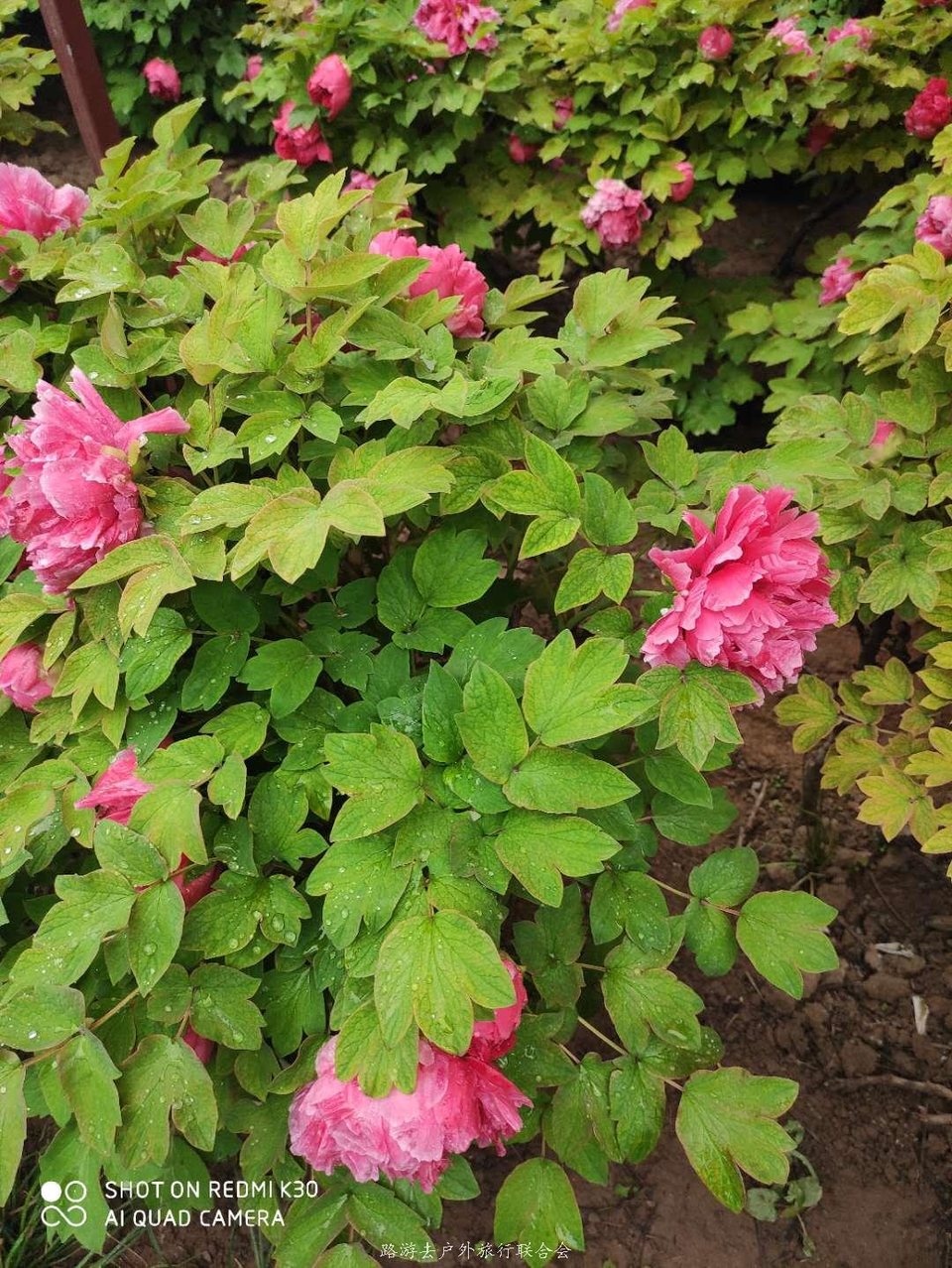 ZdcWaEtlYbbBay2stl1dZs3DnOmJOsorCxvamtztb65dzTxIr0KImPA8UwcWgow5