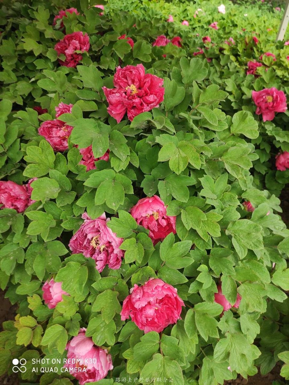 yQya9GGYuZKTCj32iajjkVKxDg-1eeM_hkyQzBZD-DD07jVaNWuiVp1hRMlHQ80H