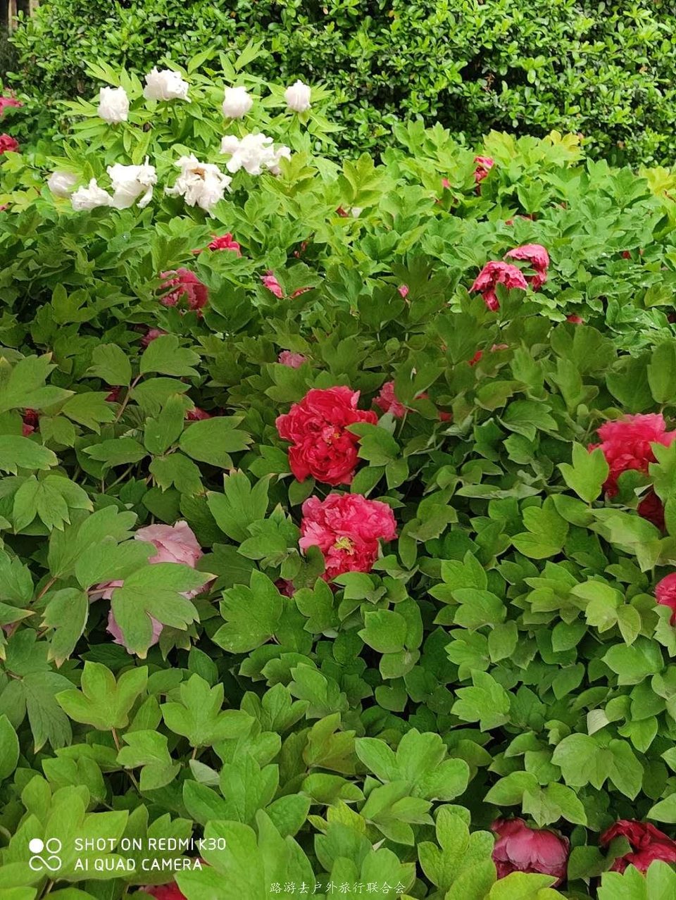 L-UC1K_eip88Ctn4FtgYJudA0vgrg0_dD-yc-6wzCUqwDzGlonGvKT2tstNPc5tQ