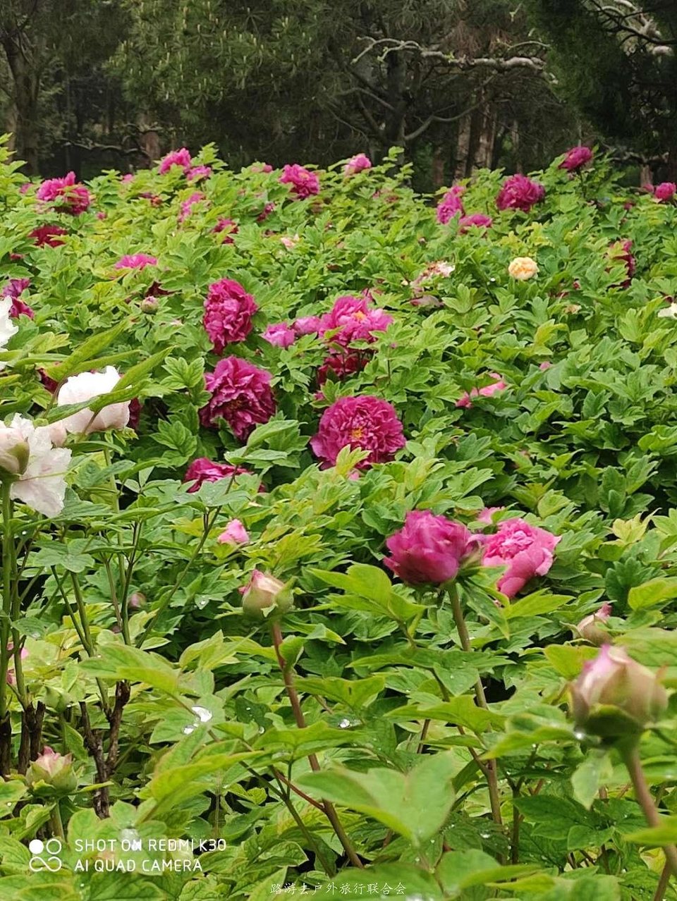 T1YFaB2_u0svVXGkt6dV5JLr0ie94ZbE-ufV42roVcXZwCXpxs0uujMkLhDksMfJ