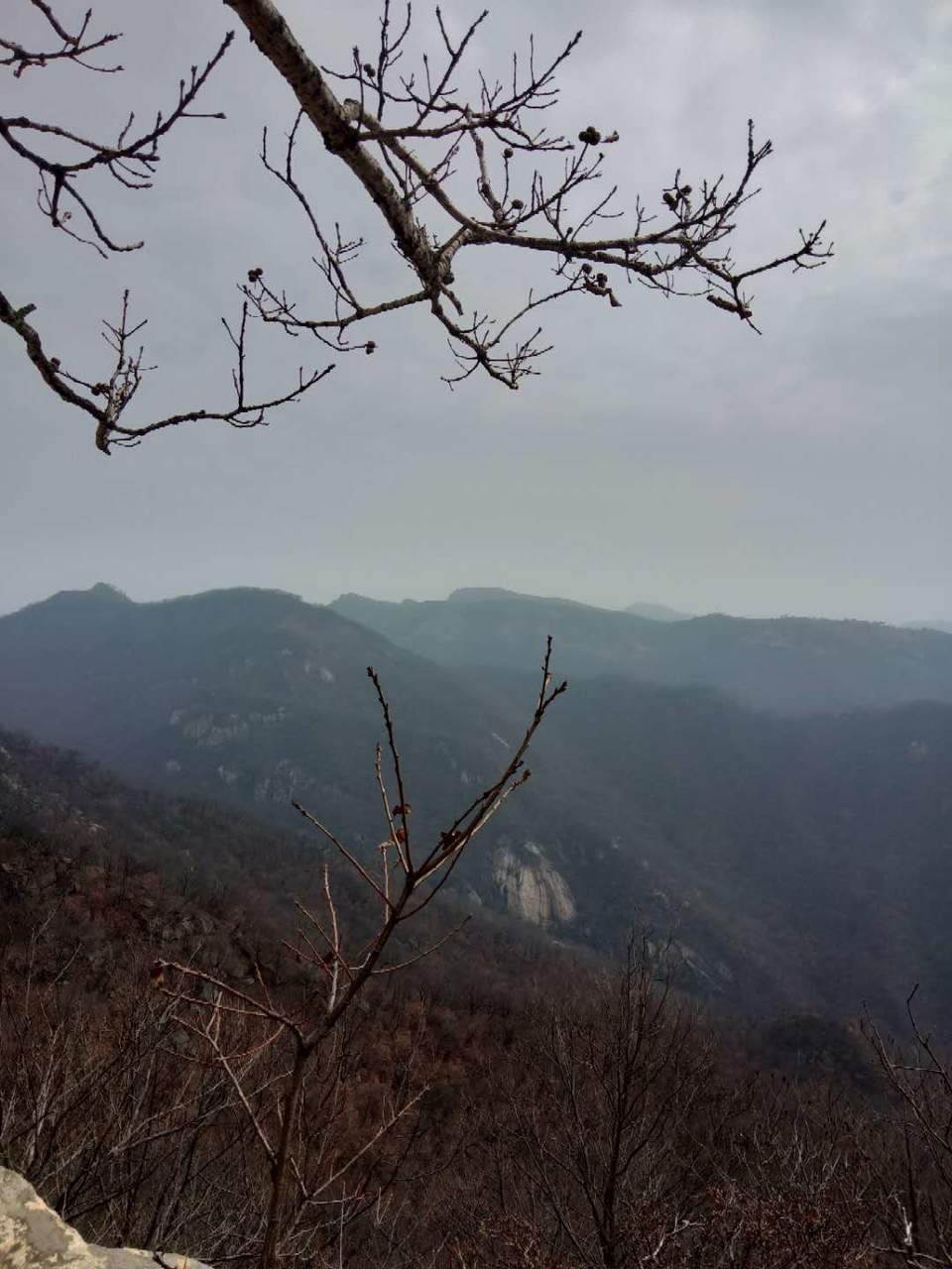 w5x1GB8yBFBCon7COjo24foCj_Q8J_p0BYM0vPCVeUinsngWJ1SL0EY4-so0gewK