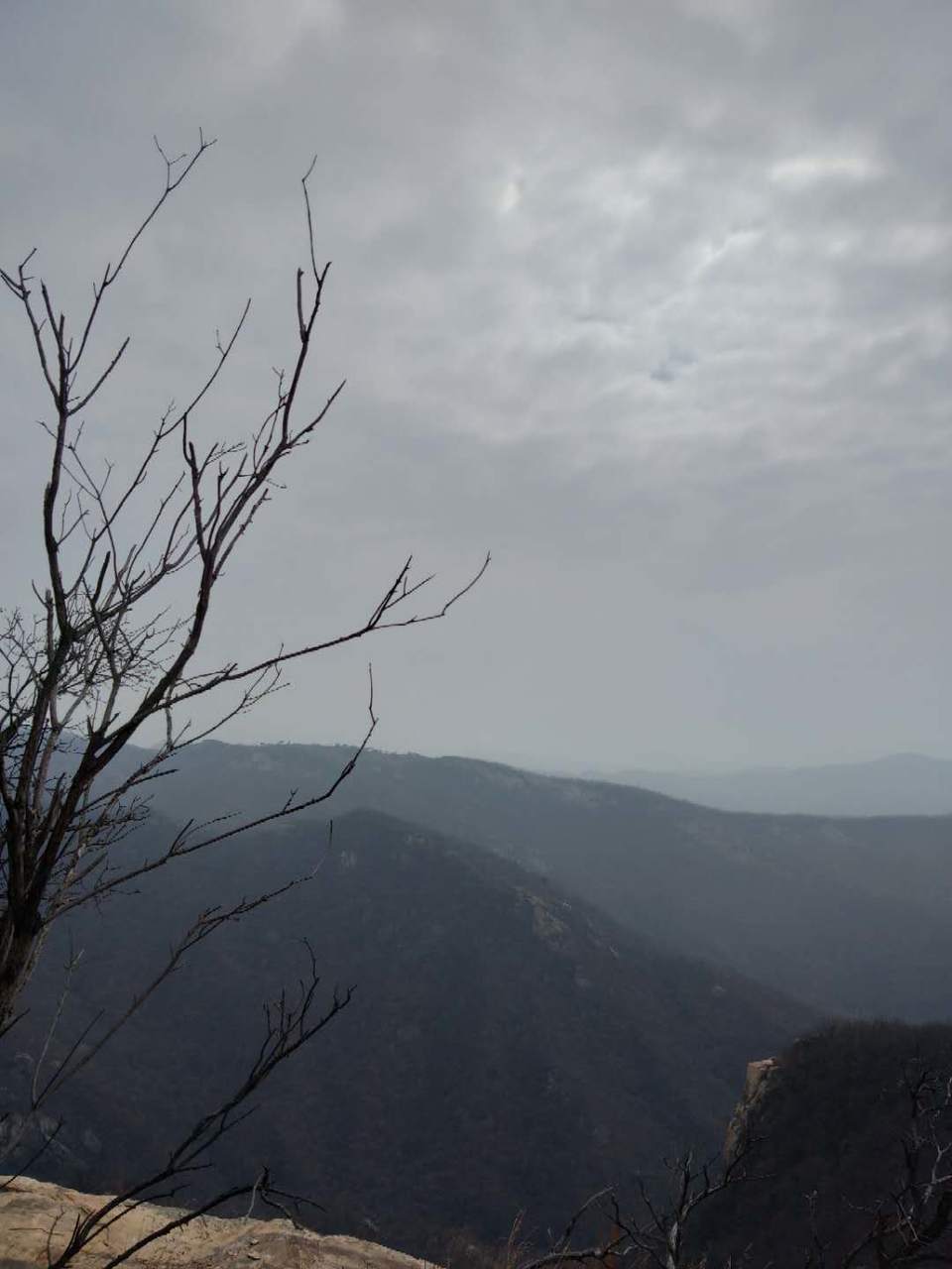 ohwhRE63CUL1Cb4PMJOSE8ndabVVT24VzuhLr20UxhorXTy9jYLACHhnKhmdK_lz