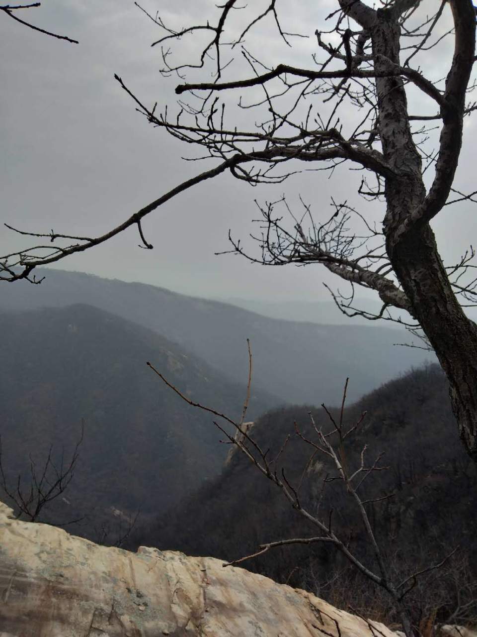 F8ohw_p0ht4lxvOGPShY8Q4k5PbZ2TL8bf3VF82eDTV99AmjiwpaMZOjRjths3Mk