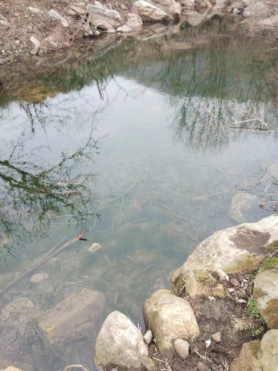 MUSDl-l0r75Szt6gb17soZWdH47DhCV8p_ikTkysAv3NEfRe5pIWKfw69UwBicN7