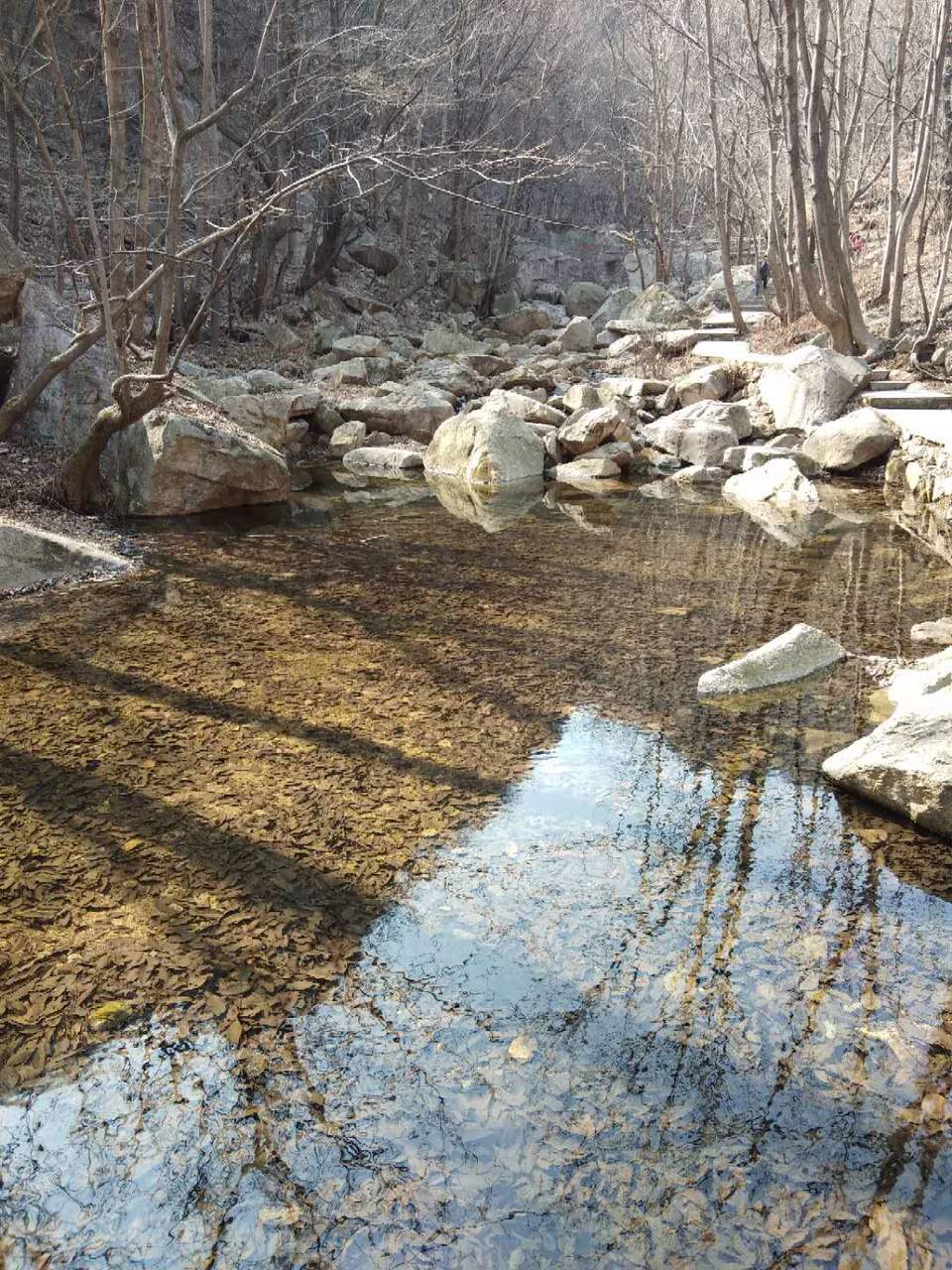 yFMgWAxxBn7KznYraOEa7XzcNEvgcieICGDfKQeuOp5D0GyKR-SnS92v7yZarEa3