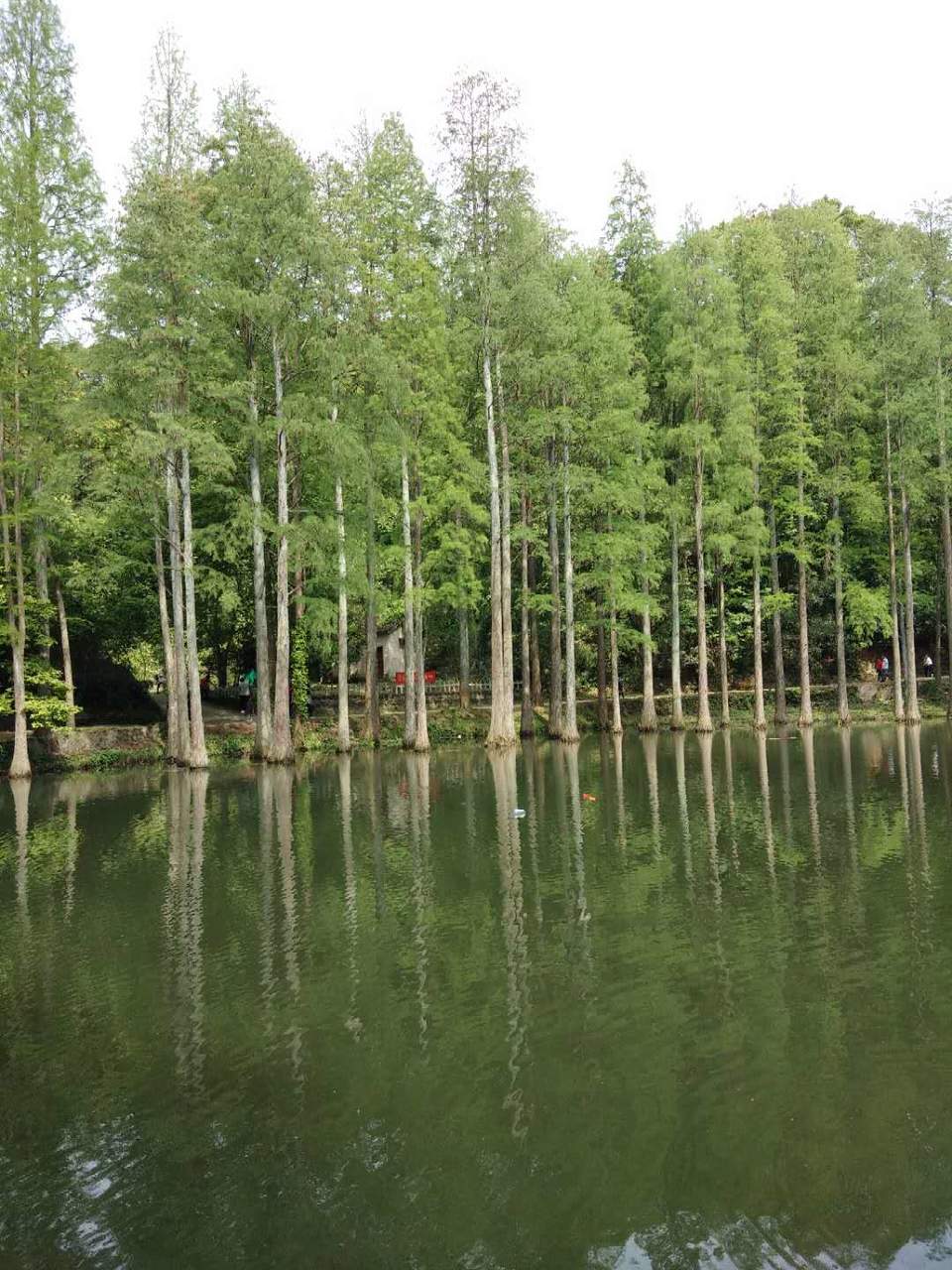 4L8vjuVPG9Ex4iILTN7d0JkRHQ8afH5AAsViFrZBlR2VrRLWZE0HFRZAH-09_sf9