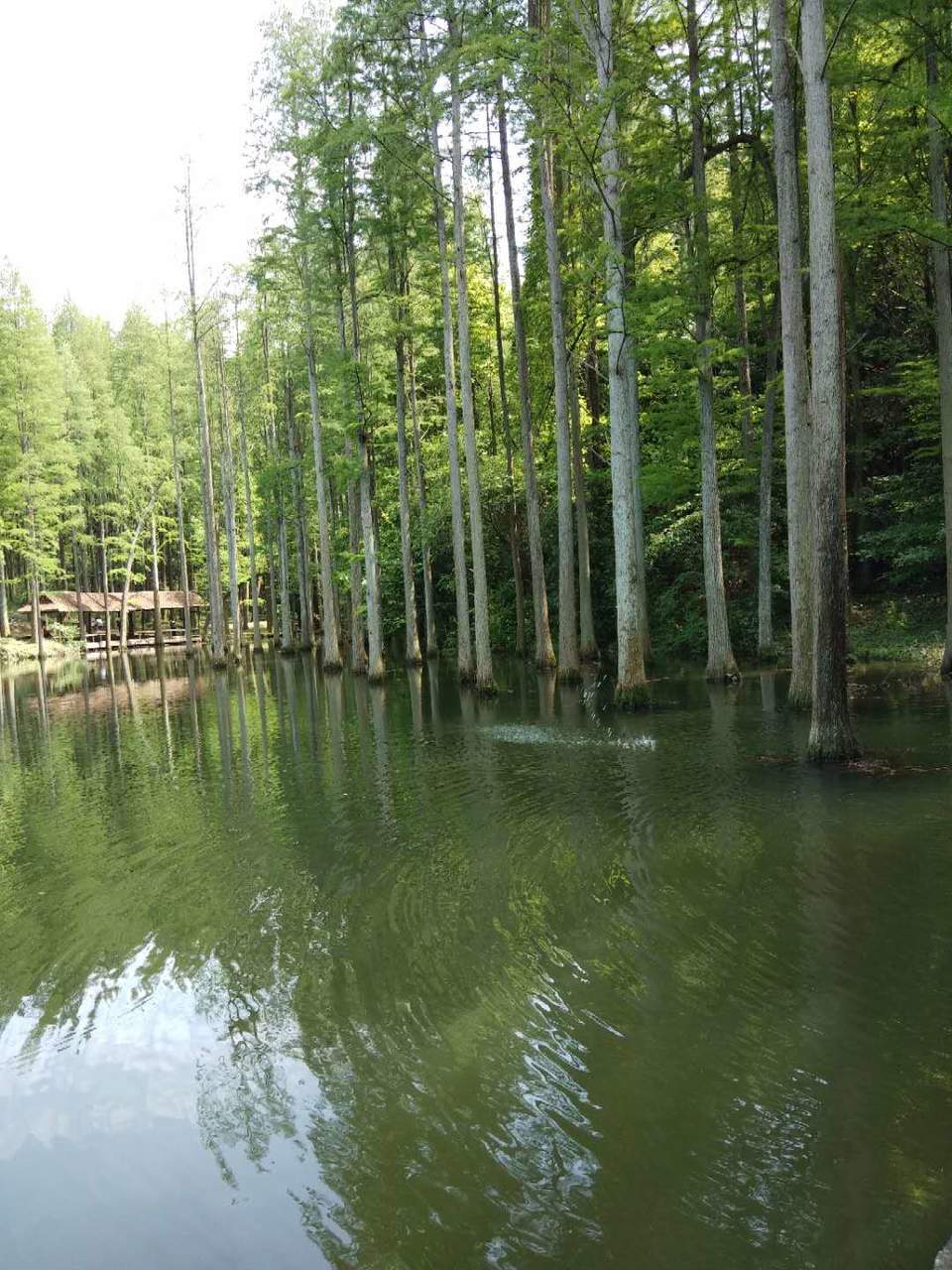 Obfoi1PNpaiSkKmeotBuNtHzRc4nIqPabvALI93hg5W1-dZ_7w5NS3bh7RnHjK1b