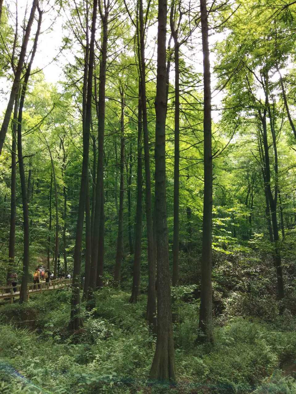 SzaKUq6xM5Pf20ncFvasmk2R2wmxNRURtVbj00USWaEyCdLWw17Zg4rzwbxTE6HZ