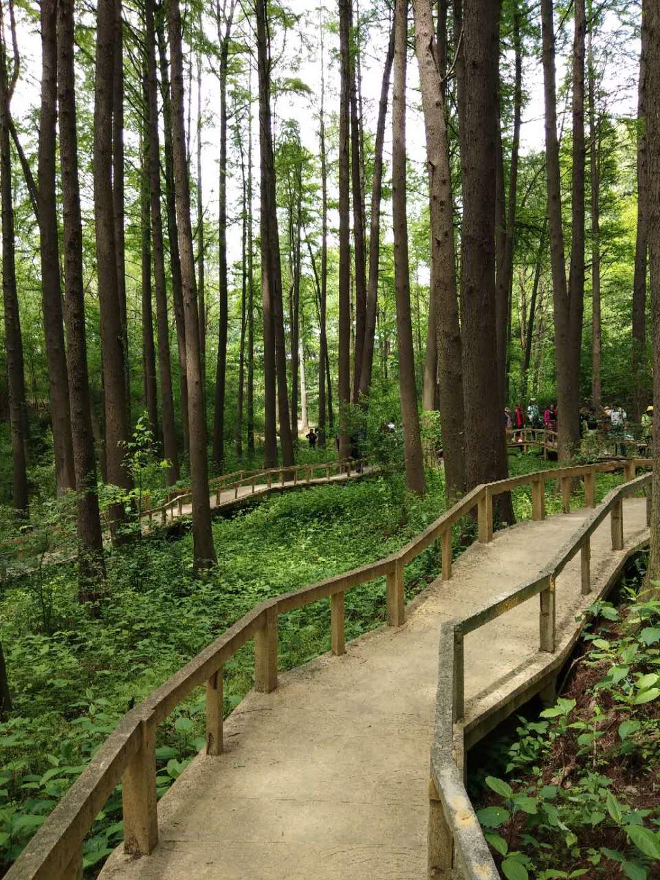 oAFoVFG97NDA7zYDfDOrarrcE-JgACtLdxaz8nYbanj441sr2YSz1B8FMYSOexxs