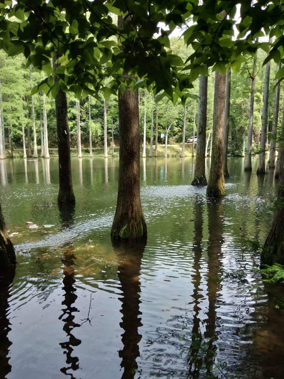 V23k4bth0pDpAQmnjWWBNgP5vF5JoUNwPvs947nkCRaGh6TtSVM7YO4jAtIX9_Vx