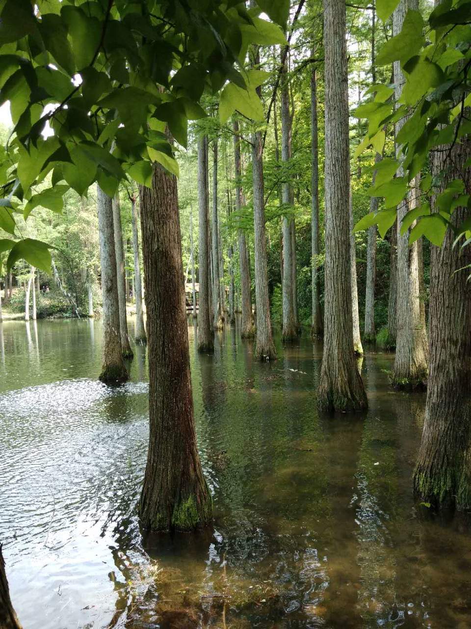 RkyHuALZtBqrBJYwlY5irMq8WtW4II_zE6UwIf6KtDK_8a7aGlisVaeTlsKyp_Cn