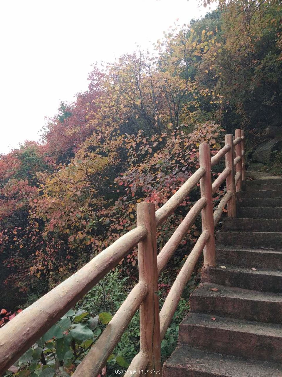 e1rIdKlRqBiuo8Ky51NQ6kV2nCZrNZFsPUiIS-QeuQO6A2RPbvqK3K0FPKnr3YCi