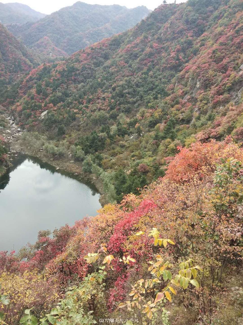 nmT-ebI7_T7_ljBz4-Rum83Pki0DTB7CzYUJE1H8KAsqvyNXyz1dYWSWNUvnWn5I