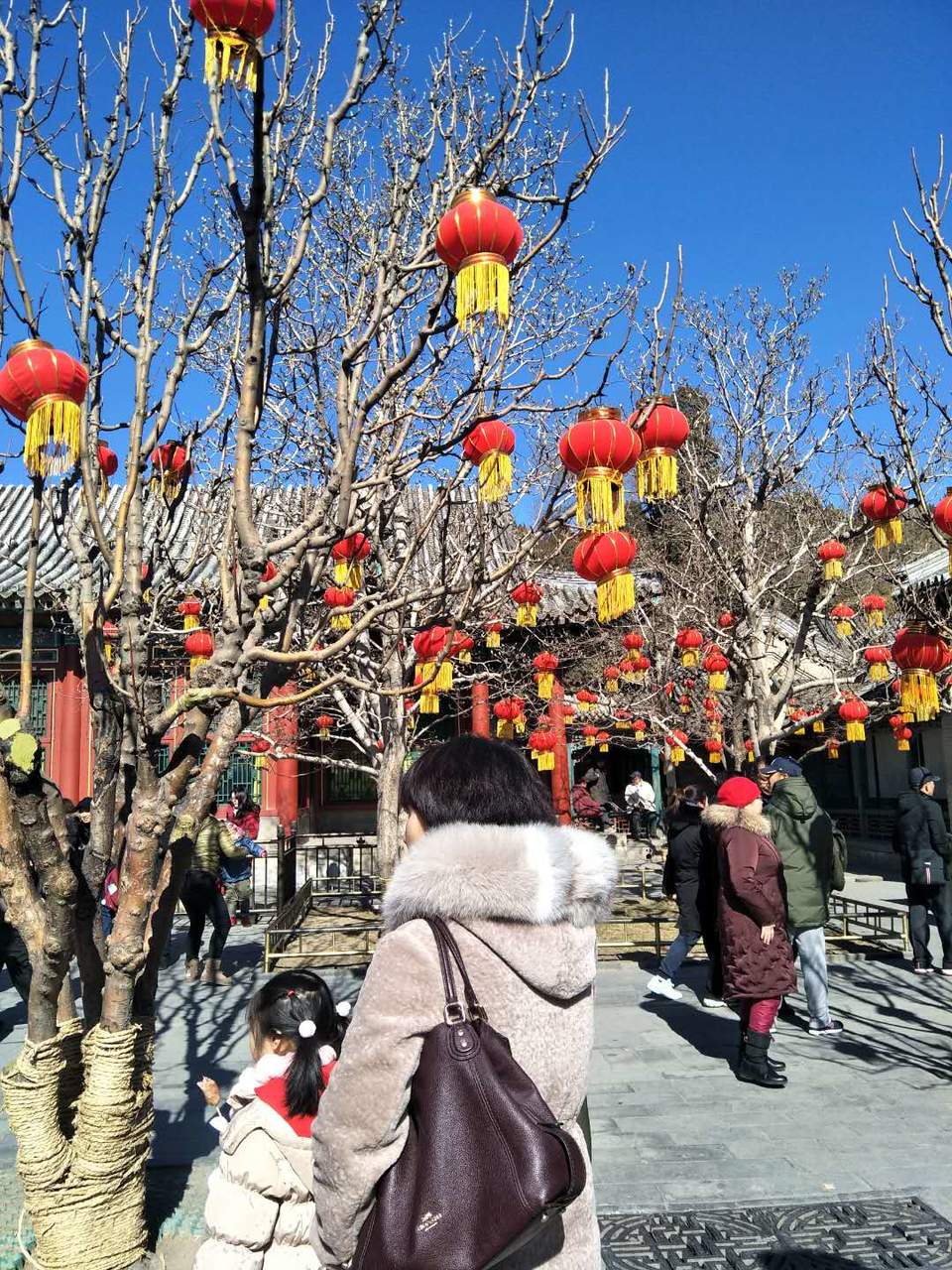 Qu_iG86IoXPIUIy4vUpBzD002HjSWrDHLDwRi64aU4uowR62luPfl2sPt5ErH4RR