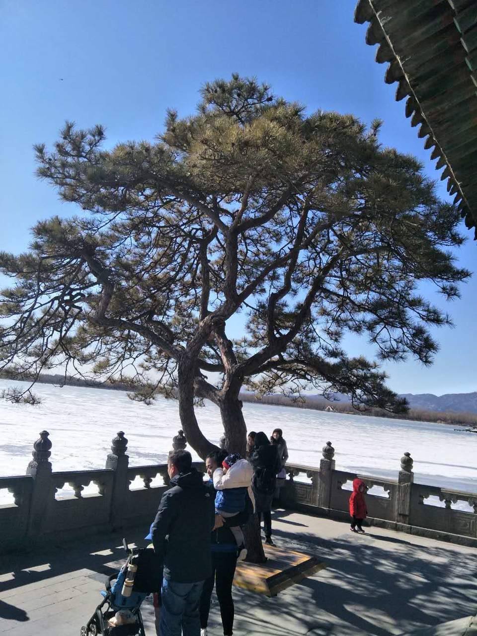 _2UxCLuIkEqW7gjvMiYgrFtO4jkKCmgXuTJ72KChpdthCL4Wm0VuAfclo8rDT0VW