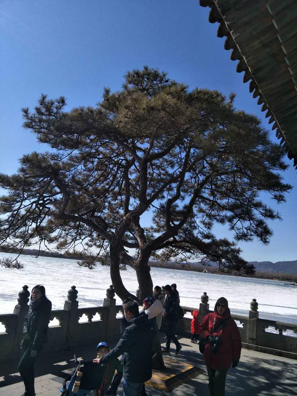 l2DCnRM_jySX1sLW1lT4e4Xjae2ubv1Vrkm-q7e9MkMSXt2hOC1Zj0hrWngXdZ-i