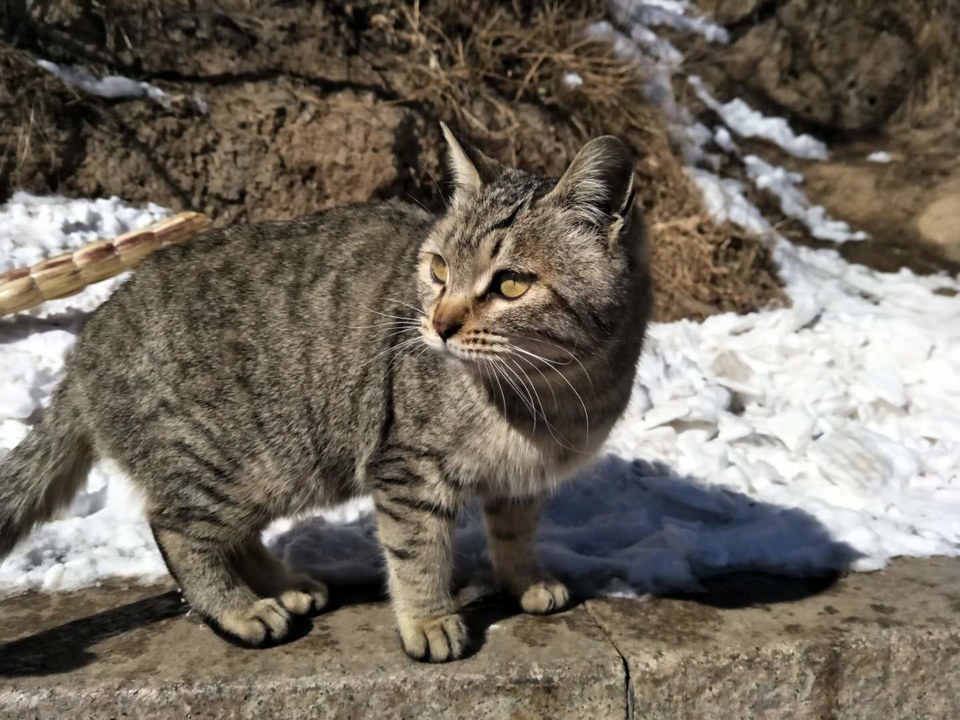 q8GJMIubrYOMb0j3OpDY6nVF2gkw6YkIauWt4oDU14TJ7ctbN_QVT-qRRRvoMTUL