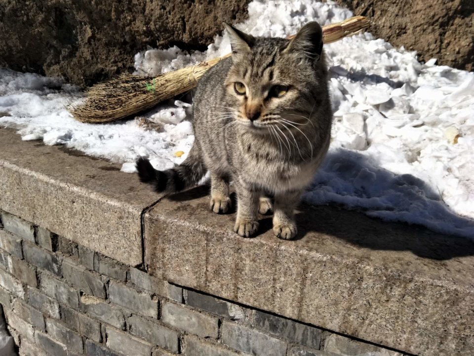 ymgWfoZIWjwYBYlC3vVyvgknKfvMw-EKo6efe2QhWGL4C2GK1jot8fBaQk4mTCHa