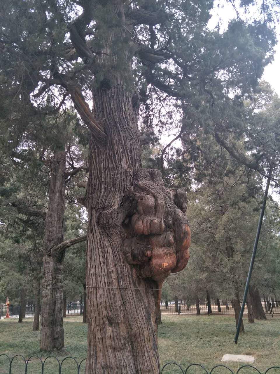 EOApffXhUXqD3wALWjjhyTCC27mSgFskdLiAPYUUEbu5gcNYuTsn2q9fufwF57Bm