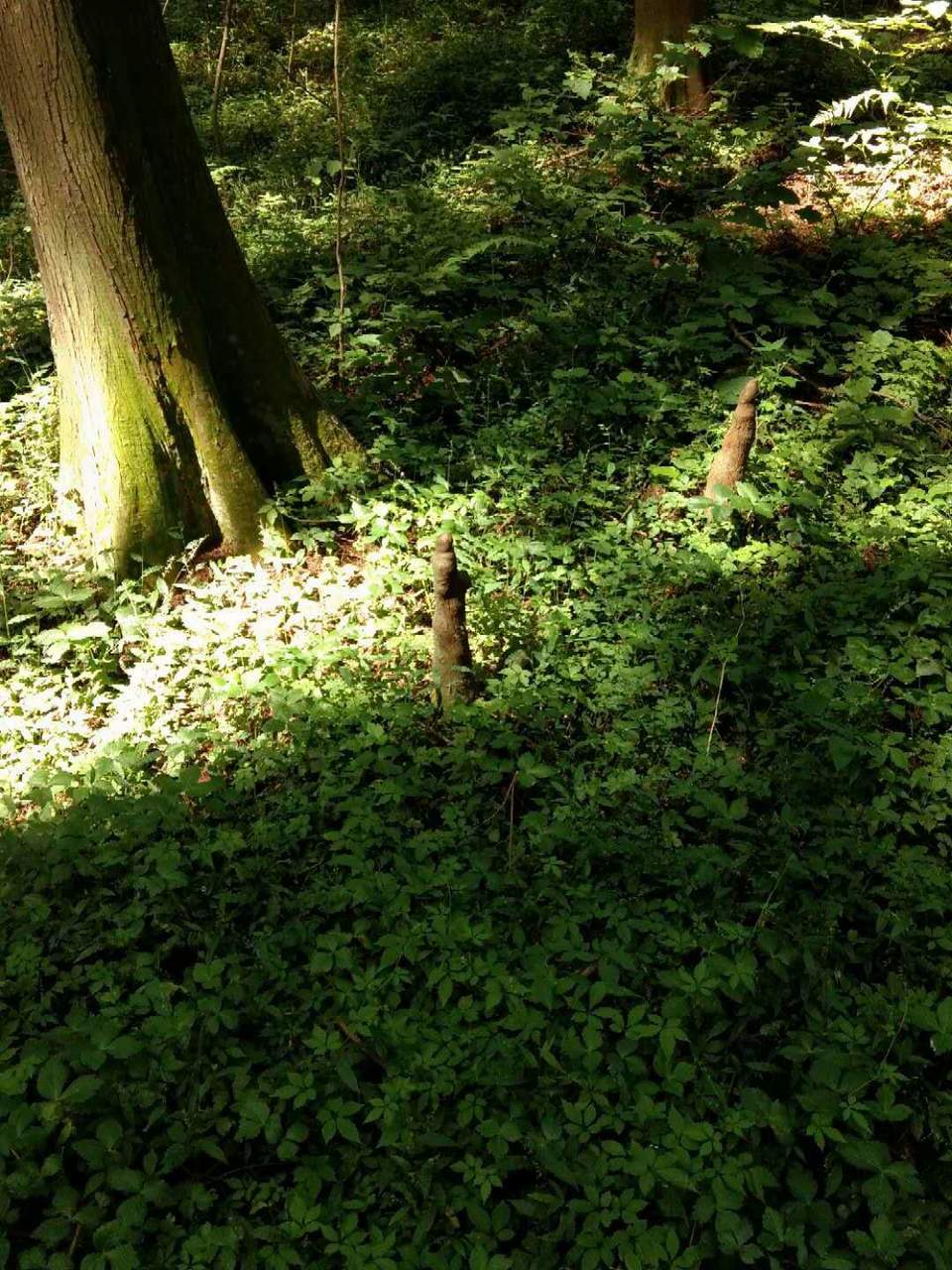 ccWPm0d4nEoyqS01np-s0MGQPNLS--iHhrEvrQfcUunxxoAwfh045cHQ-NTPo8_2