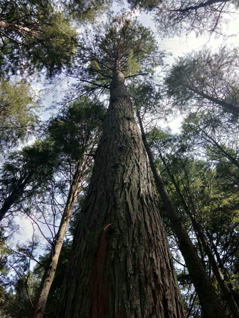 8JHNWikH-TBAmk81NbIJyfz7MmWFEztGFR1LU5mO5C-UpAuElX4NEXxMToxGeopY