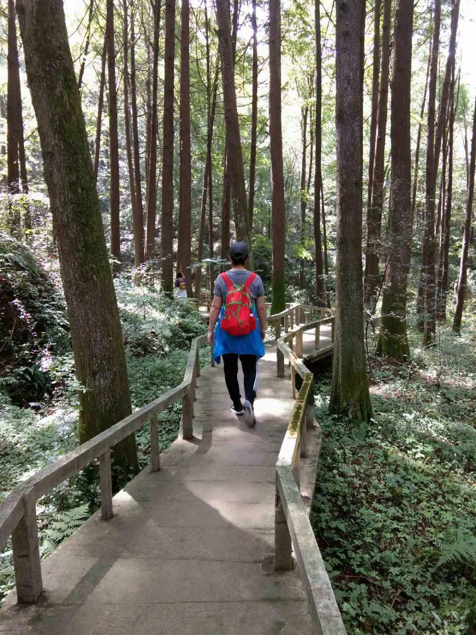 BgQgzfL-afKRQQ4ZglOqfy-Ifl9c8Sz5SfvdR9cmlk1xvBpOVEH5x9CGT8Y7ZeoJ