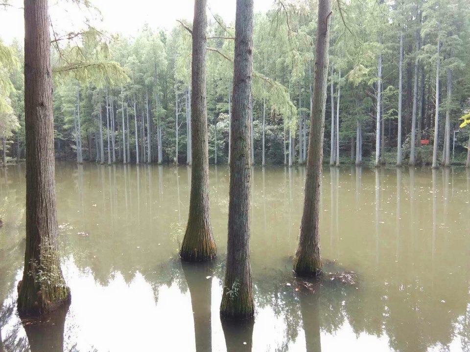 La3Ujc5oB2yXH2Eygb8oEPyTvoQyouoVSdWOQIiYGp31vTFgOJpoTFyZ6CVSKHO1