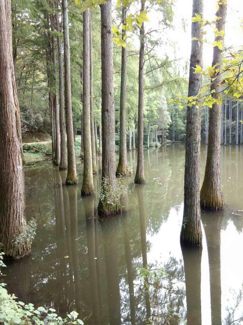 MaIqc0dwchmhKlunpwHWnS8hx3iJI9rcNwssIfM4qf3l6HjWj6-kTme8CGBXSB-Q