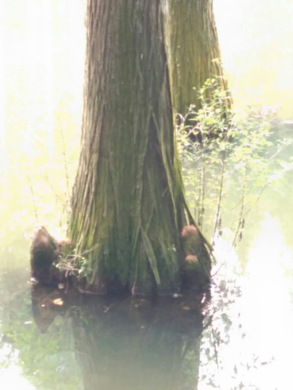 E4AM28GG6idGZu0qwYCH7UsSMCzlWC_UHFntnRfTnxiBBUVzluYjApaeEU_YI2iU