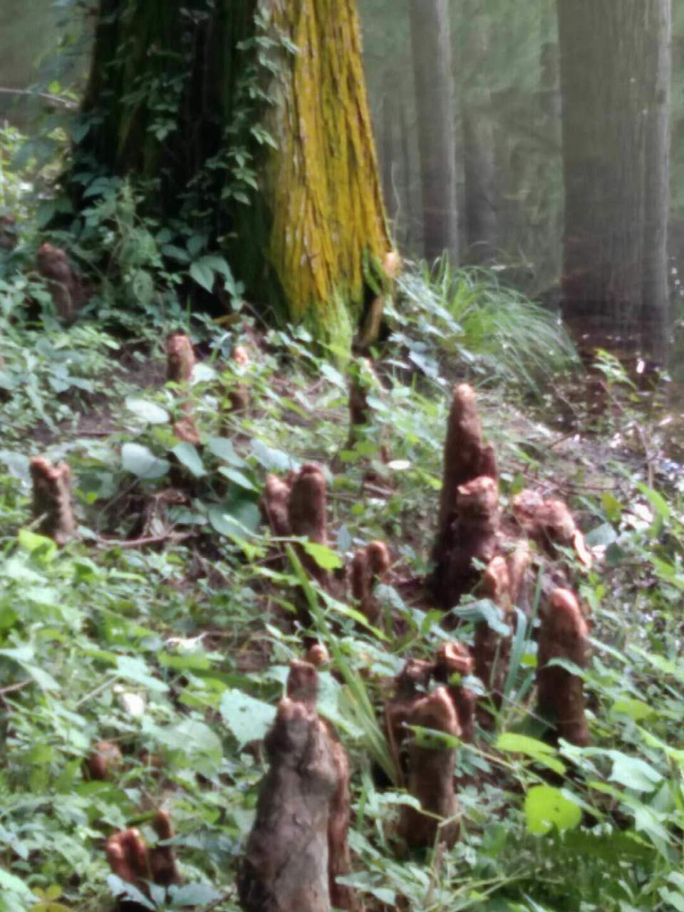 qVFhmc4neZMT7SjTGDJ447EjUz1rebzlyOyeUCwi_ZT774UdIF_ARg9FnTg1DU_o