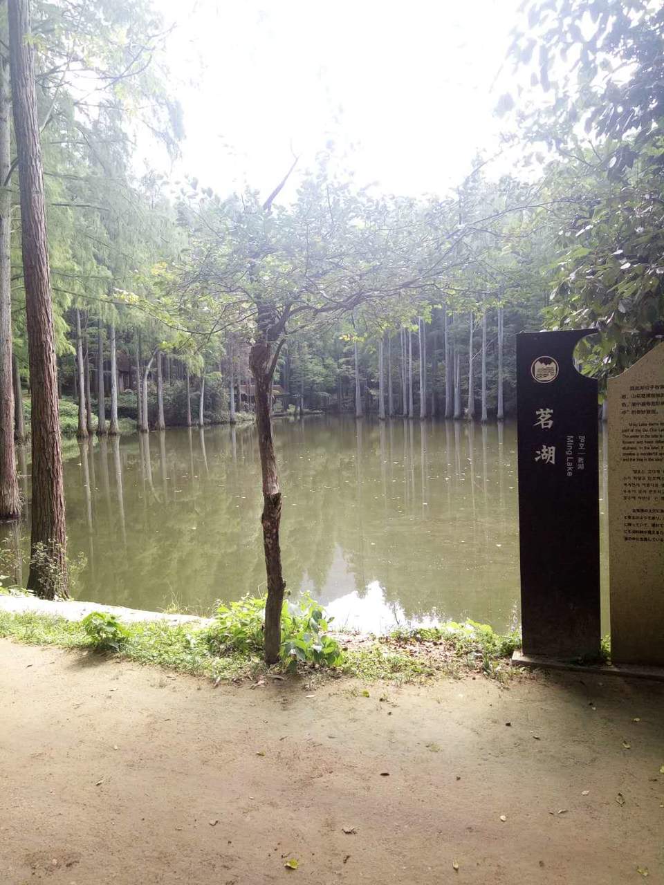 gAMcvmj0c35wMAEJtmFFhzD-xZx4yqbTwifwEUyOIr5jRpUwI8Vohr2N-JRzect4