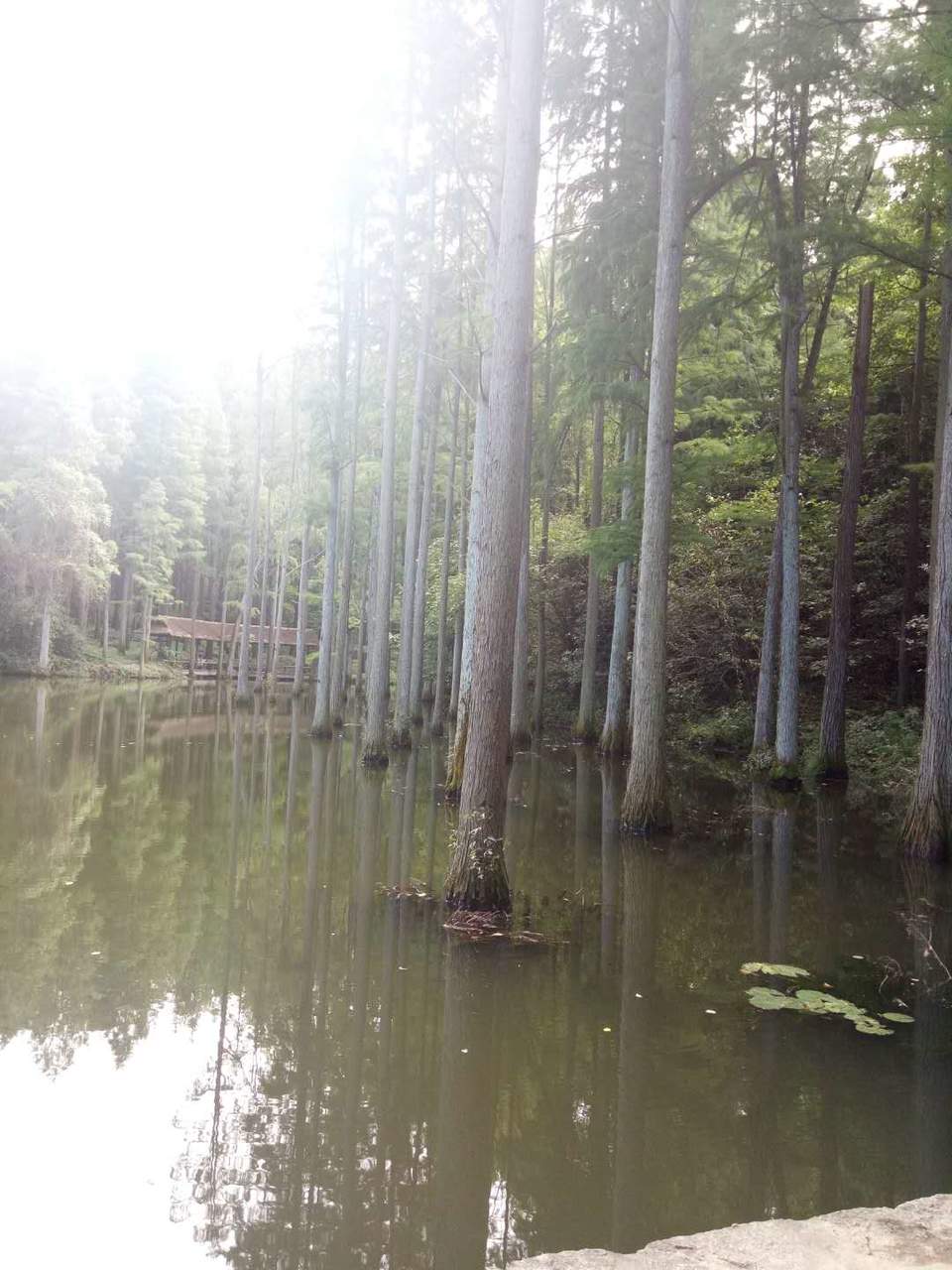 kT1hZfcTJGLVeOSl2VzLJkw1njZOSCJIS75LdnzODN6IFWcIsMn1nd-c8Zxau95t